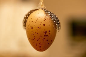 悬挂着的斑点鸡蛋摄影图片